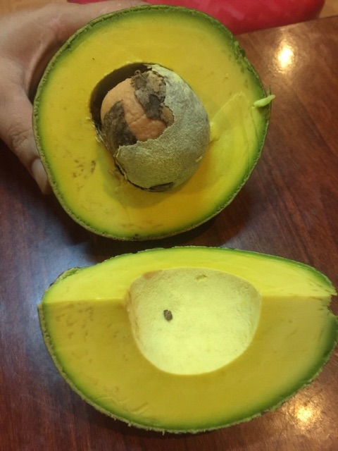 Bơ booth Lâm Đồng béo dẻo