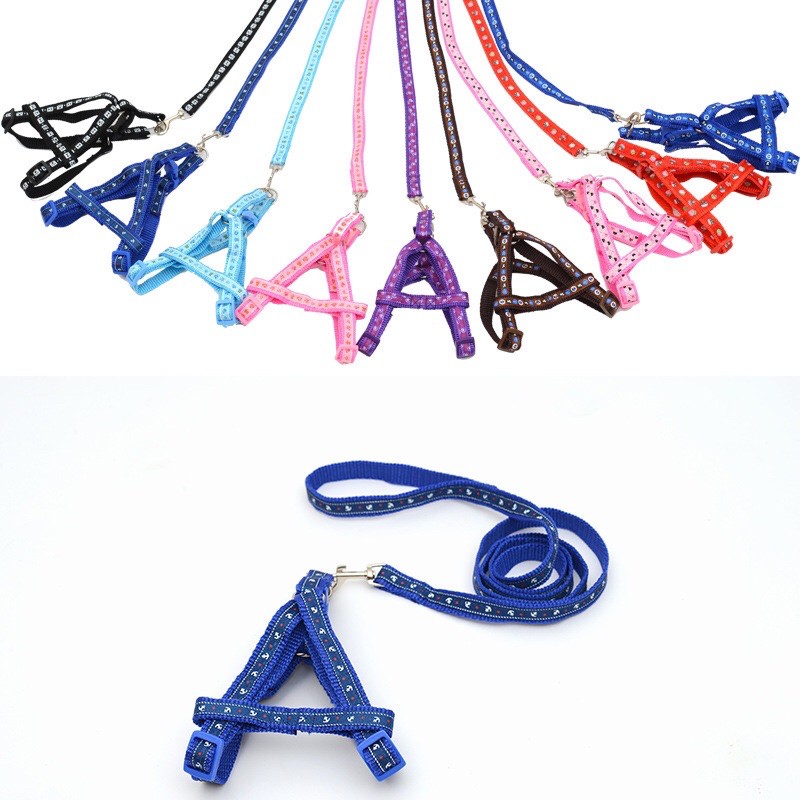 Dây dắt kèm yếm 1cm dành cho thú cưng, Dây dắt kèm yếm sắc màu LaLi petfashion