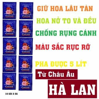 10 gói dưỡng hoa giữ hoa lâu tàn cắm hoa lâu tàn Chrysal Clear Từ Châu Âu (Hà Lan) (Xanh)