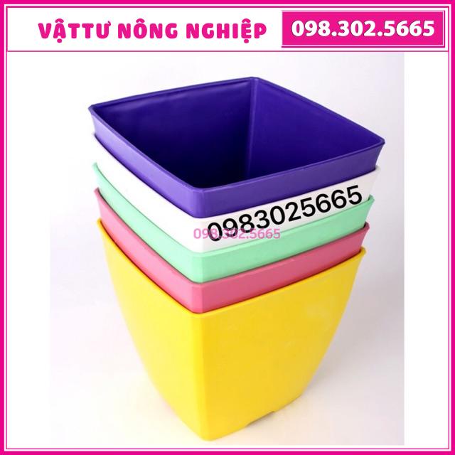 Chậu nhựa vuông đủ màu kích thước 20x20cm