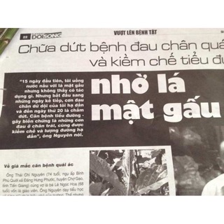 100g lá mật gấu lá đắng khô