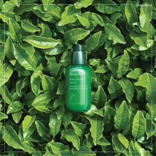 Tinh chất Green Tea Seed Serum Innisfree