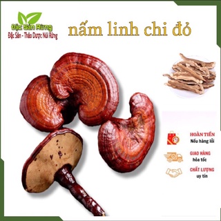 Nấm Linh Chi Đỏ Khô 500gr - Đặc sản rừng