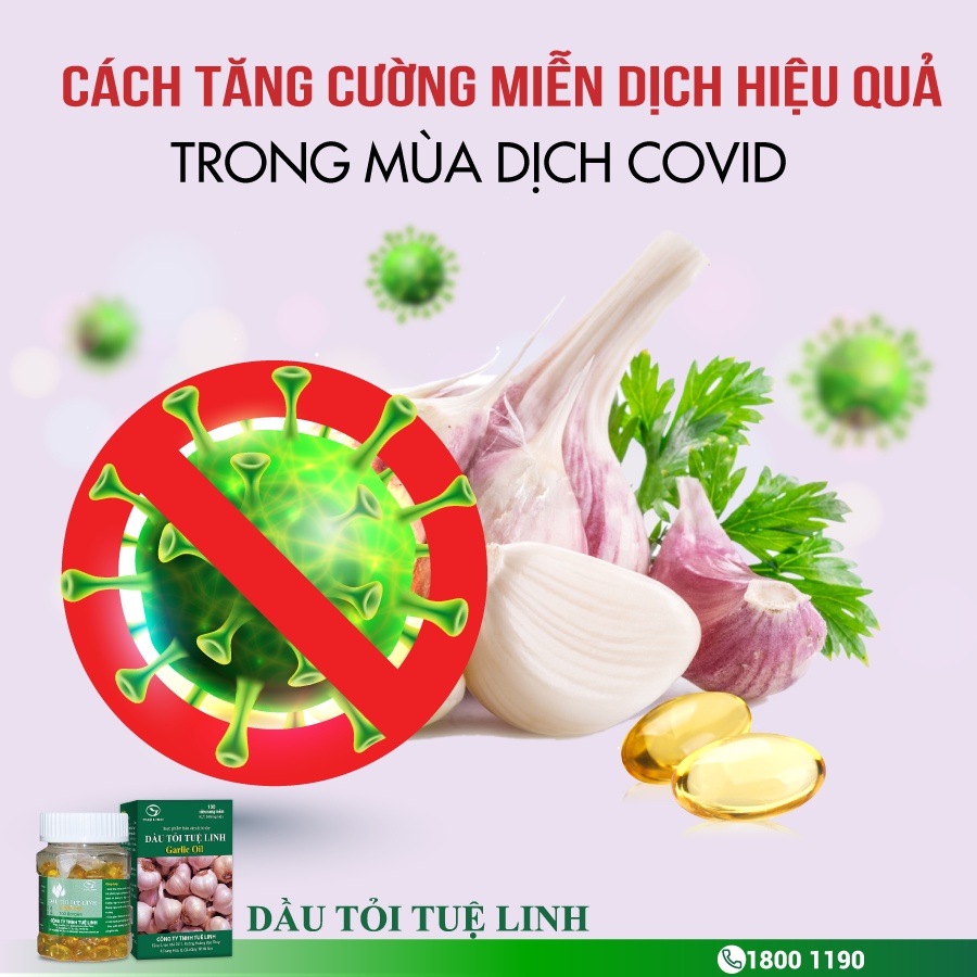 Dầu tỏi Tuệ Linh [Chai 100 Viên]- Tăng Sức Đề Kháng Cho Cơ Thể, Hỗ Trợ Giúp Giảm Mỡ Máu, Giảm Nguy Cơ Xơ Vữa Động Mạch