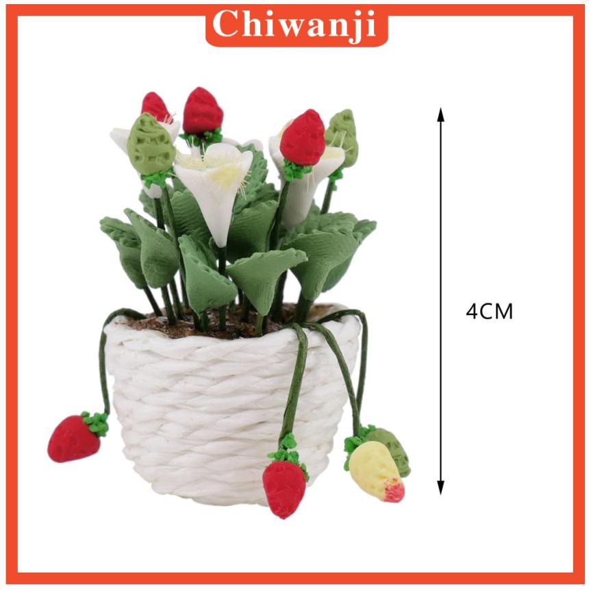 Chậu Cây Bonsai Mini Tỉ Lệ 1 / 12 Dùng Trang Trí Nhà Búp Bê