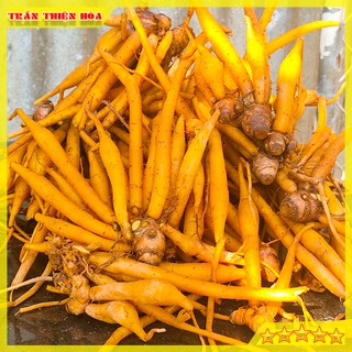 [500gr] CỦ NGÃI BÚN TƯƠI CHÂU ĐỐC DÙNG TRONG NẤU BÚN MẮM, LẨU MẮM