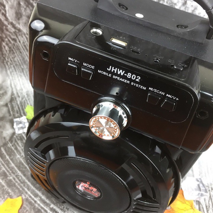 Loa bluetooth Chuyên Karaoke Chính Hãng Tặng Micro Hát Chuyên Để Live Steam Âm Bass Ấm [Sale Tết]