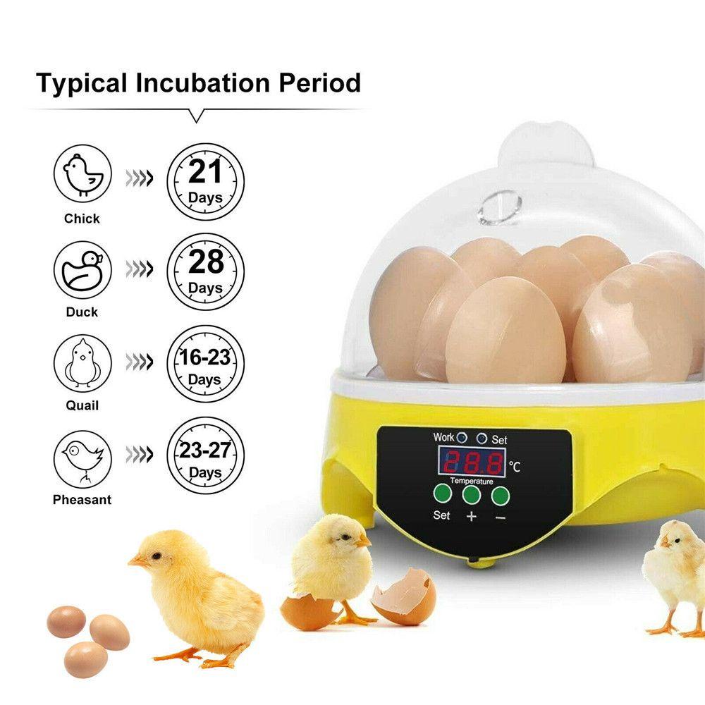 Lồng Ấp Trứng 7 Ngăn Thông Minh Cho Chim Vẹt