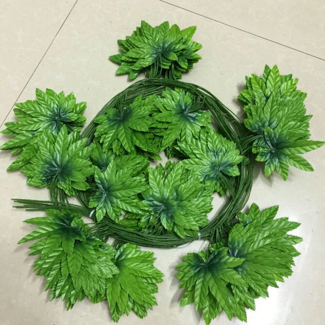 Dây lá nho lá trầu. 70k/bó 10 dây