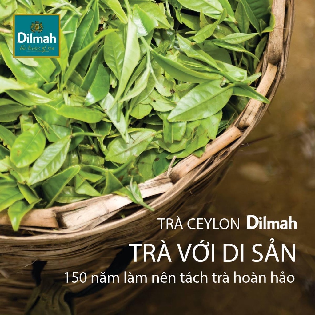 Trà Dilmah Hương Dâu 30g