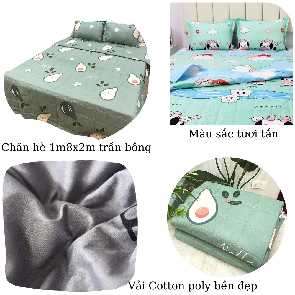 Chăn Hè 1m8x2m trần bông 2 mặt Cotton poly (Được lựa mẫu)