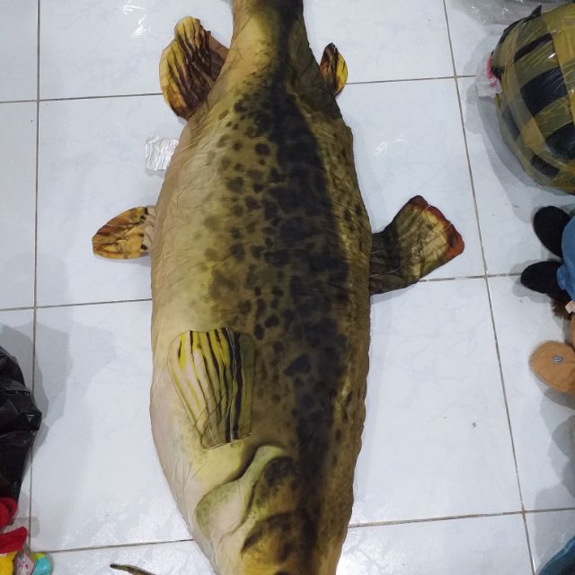 Gấu bông M Mai