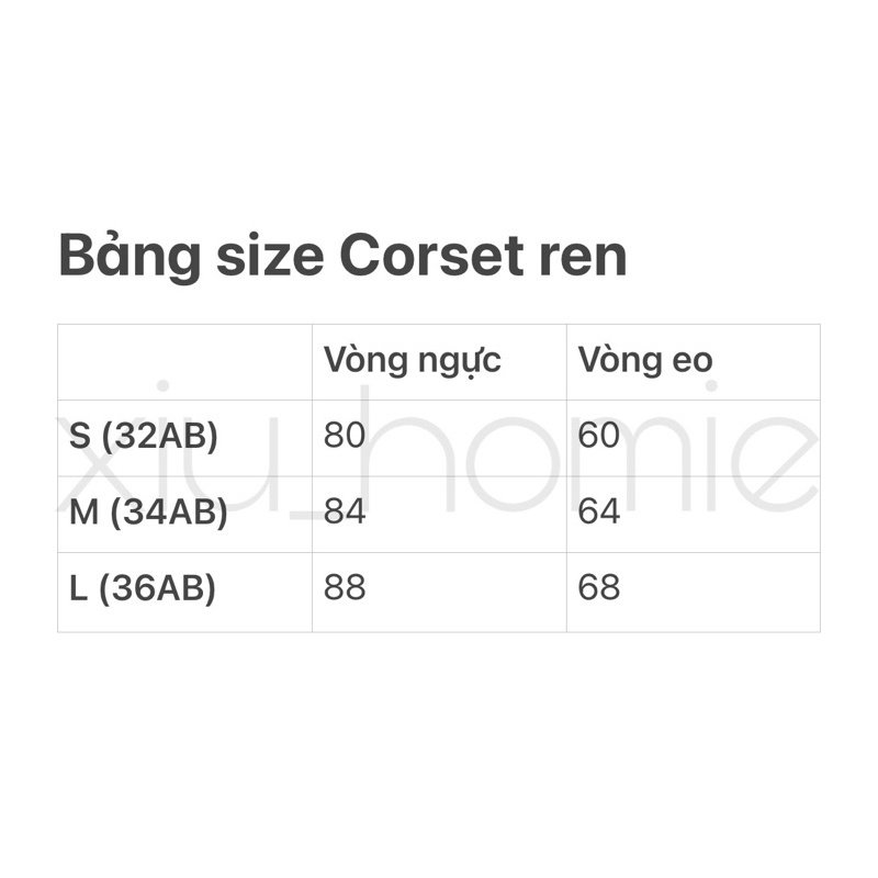 Áo Corset ren mỏng có gọng mút