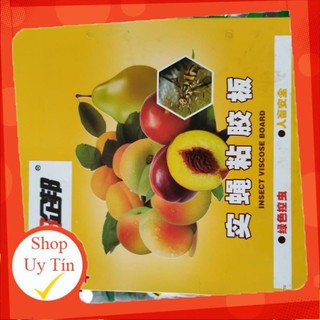 Tập 10 miếng dính ruồi vàng - vnua