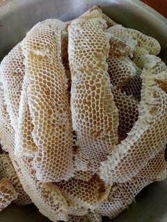 Mật ong hoa nhãn Hưng Yên