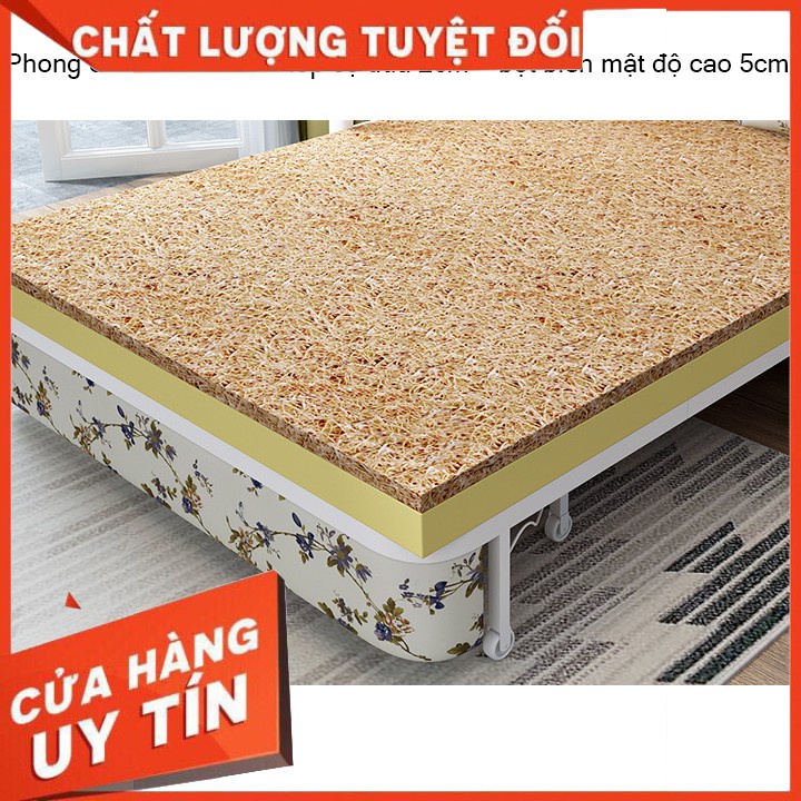 [GIÁ TỐT] Sofa Giường gấp gọn thông minh, Giường Sofa đa năng, khung hợp kim cao cấp (tặng kèm 2 gối ôm) KT:128x190 cm