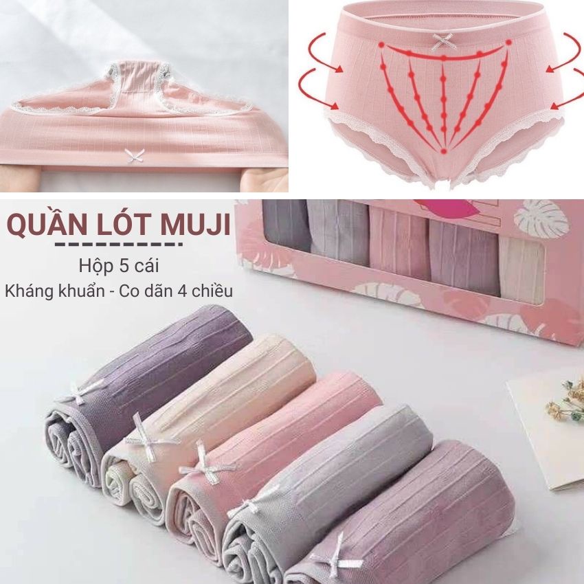Quần lót nữ thiên nga 100% cotton kháng khuẩn siêu thấm hút định hình mông họa tiết ren co giãn 4 chiều Hộp 5 cái Angola