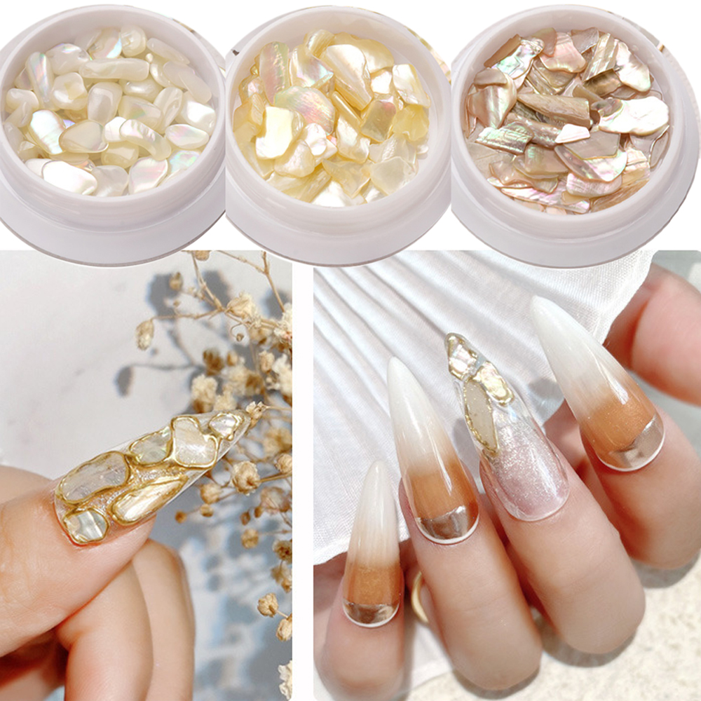 Hộp Phụ Kiện Vỏ Sò 3d Nhiều Kích Cỡ Trang Trí Móng Nghệ Thuật