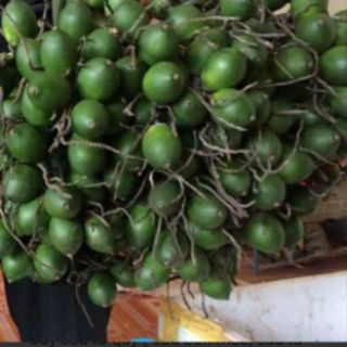 3 cây cau tứ quý 90k