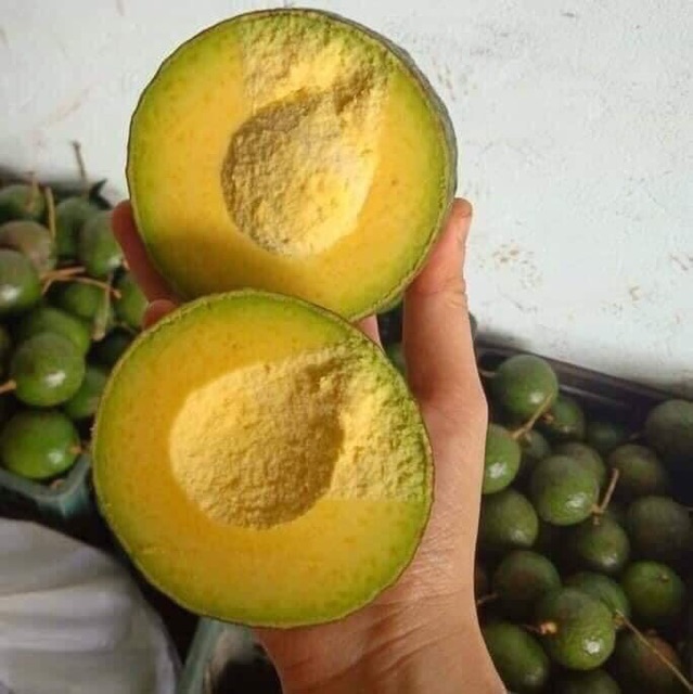 Bơ booth Lâm Đồng béo dẻo