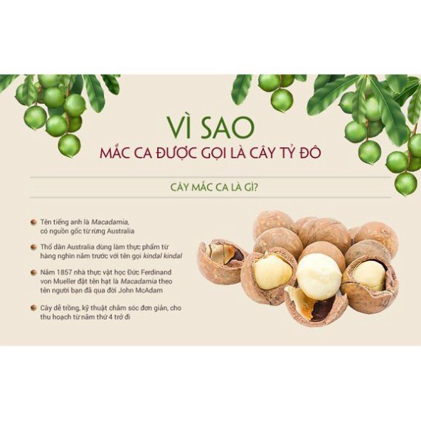 [VN xuất khẩu] Hạt Macca cao cấp loại thượng hạng (hộp 180gram)