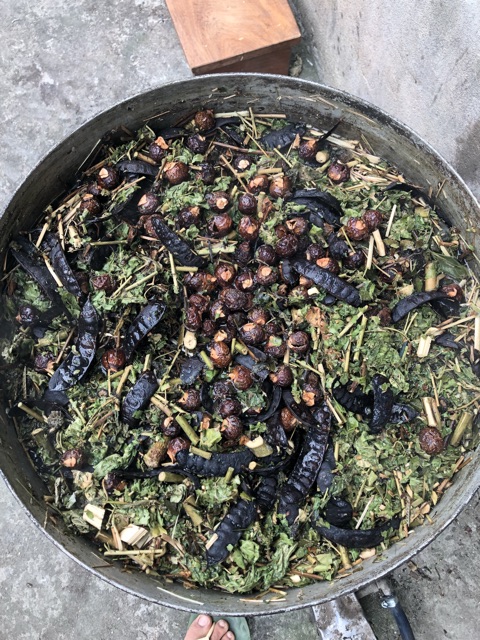 Dầu gội đóng chai thảo dược Huna | BigBuy360 - bigbuy360.vn