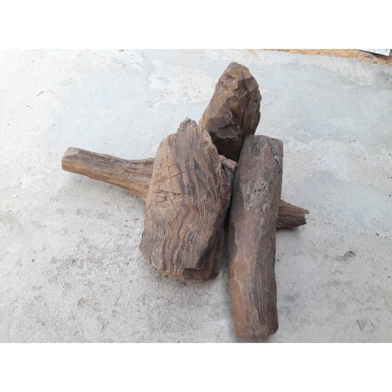 Phôi gỗ thủy tùng, gỗ thơm quý hiếm, 1kg gỗ làm đồ handmade, tiện hạt, chưng phong thủy
