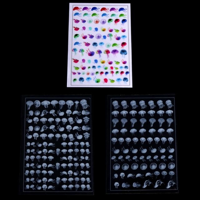 Bộ 3 miếng dán decal sticker sứa nhiều mẫu.