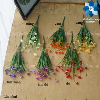 Hoa Giả Trang Trí 🌺FREESHIP🌺