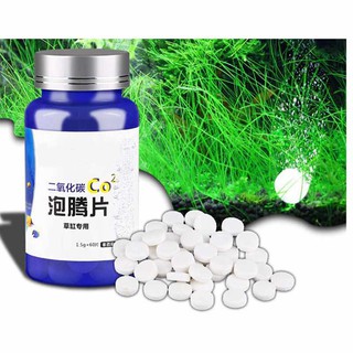 CO2 Dạng Viên Nén Cho Hồ Thủy Sinh (60 Viên/Hộp)