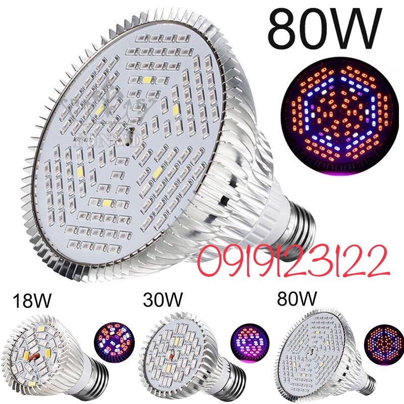 Đèn LED trồng cây, trồng rau trong nhà 80w , E27