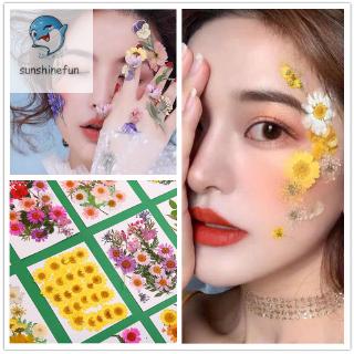 Hoa Ép Khô Dùng Để Trang Trí Diy