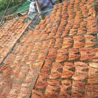 500g khô cá điêu hồng phi lê