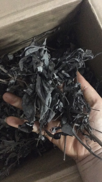 1kg  Lá ngũ trảo tươi khô có nhánh