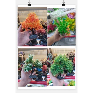 Cây - rong nhựa trang trí bể cá