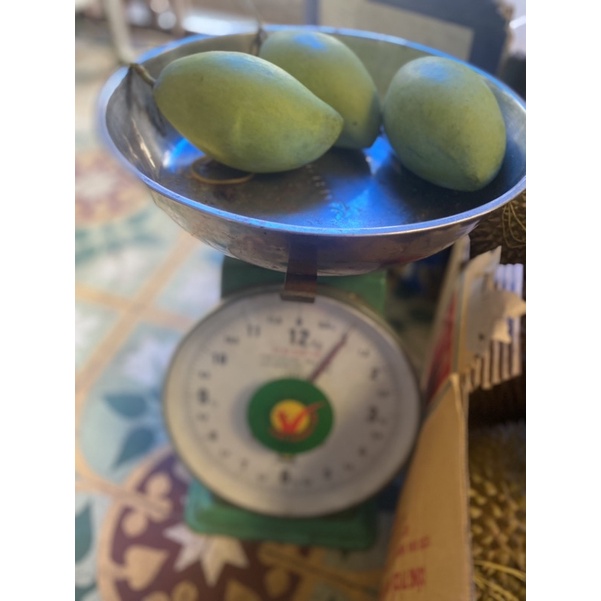 XOÀI CÁT HOÀ LỘC LOẠI 1