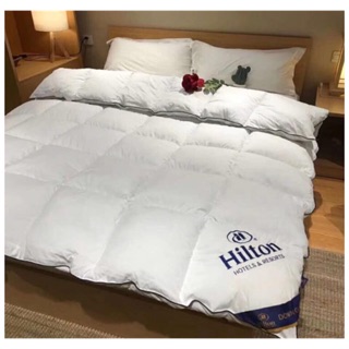 Chăn bông Hilton dày đẹp