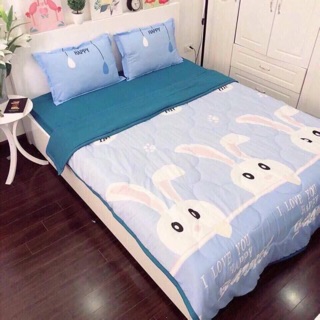 Set đũi chăn hè siêu mát m6x2m