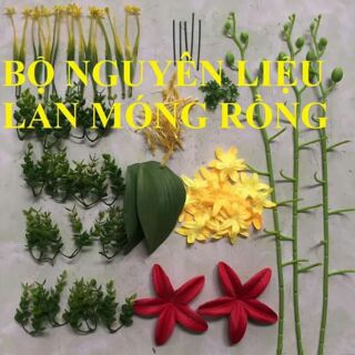 Bộ nguyên liệu Lan móng rồng