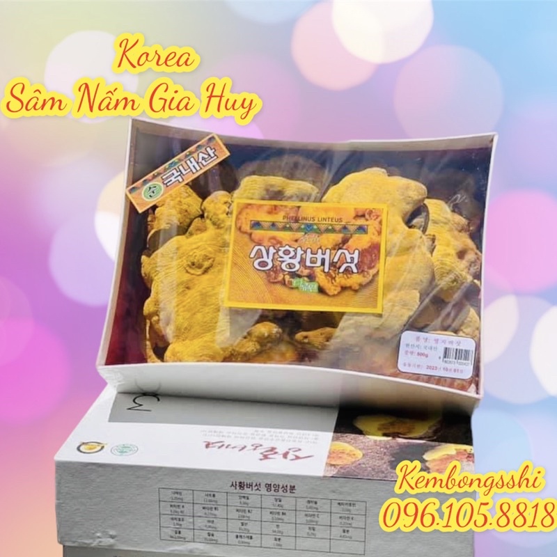 [HÀNG MỚI VỀ] Nấm Linh Chi Thượng Hoàng Cao Cấp Hàn Quốc Hộp 365