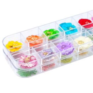 Miếng Dán Hoa Khô 3d Trang Trí Móng Tay