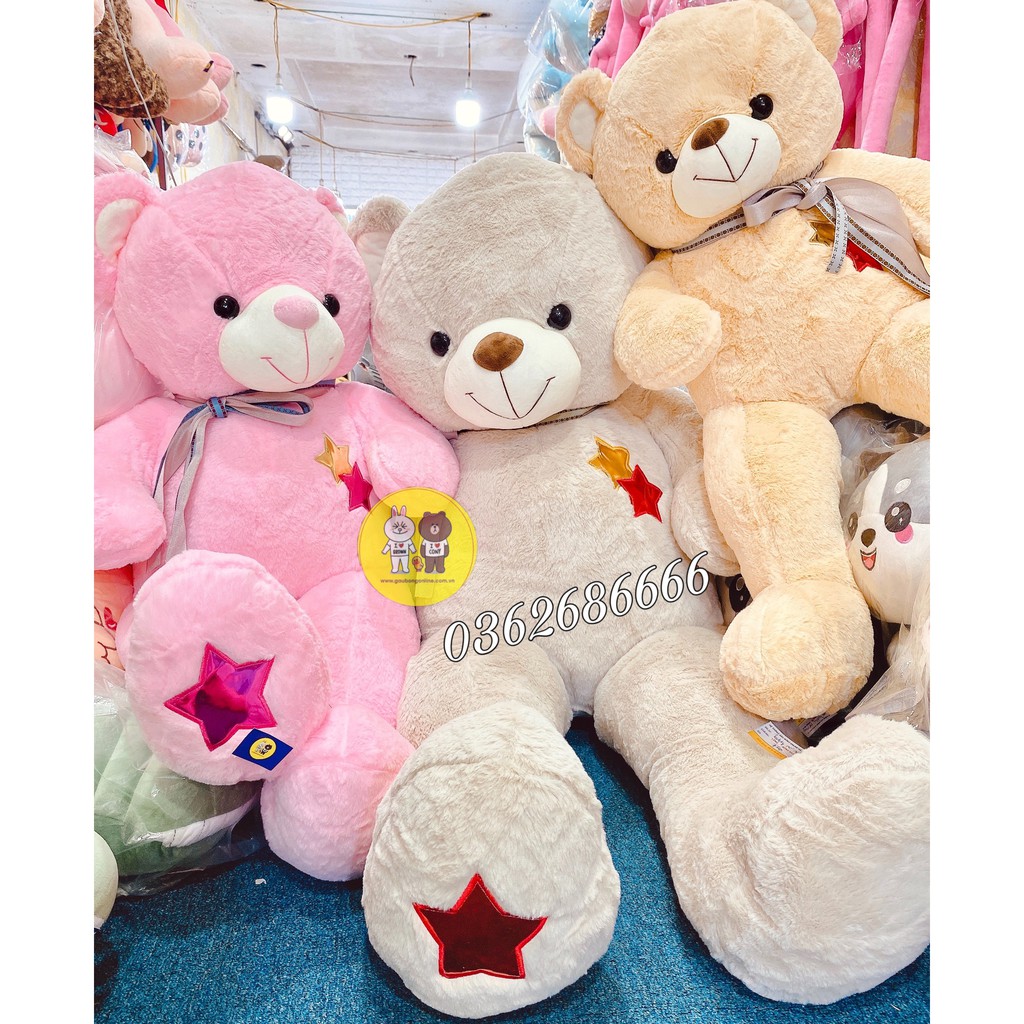 Gấu bông Teddy nơ sao 3 màu kích thước 80cm-1m1-1m4 MINO