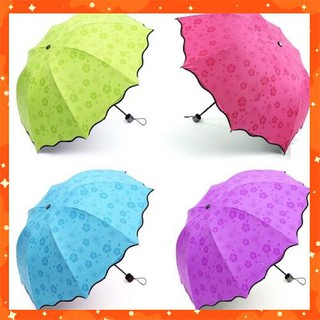 Ô ma thuật gặp nước nở hoa chống tia UV P001