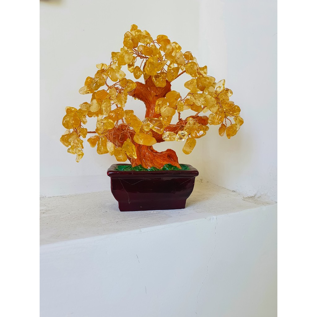 Vật Phẩm Phong Thủy để bàn làm việc mini - cây bonsai đá