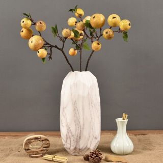 Cành táo cao cấp