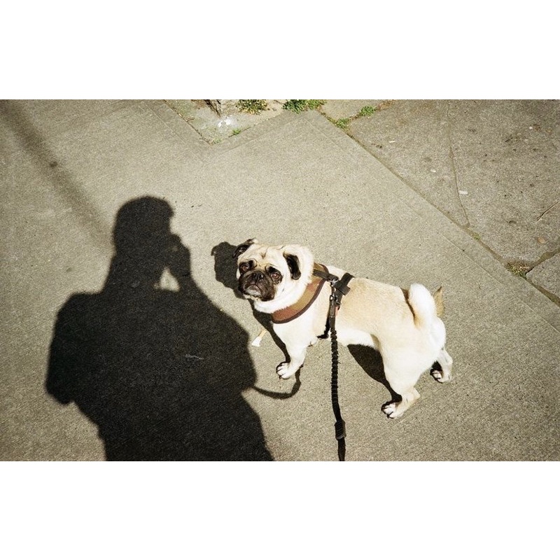 MÁY FILM PNS KONICA C35 AF