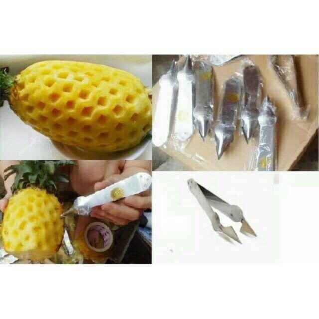 Combo 100 gắp mắt dứa 