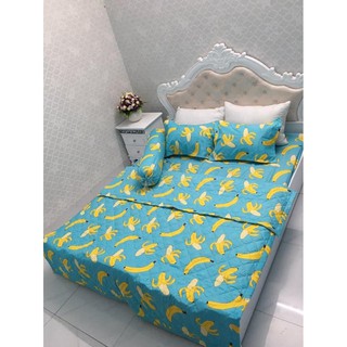 Sét Chăn ga gối hè  cotton poly