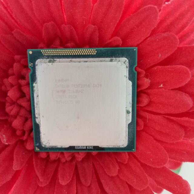 Cpu G530 - G620 - G1610 - G2020 cũ | BigBuy360 - bigbuy360.vn