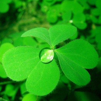 shopthethaothoitrang89, Cửa hàng trực tuyến | BigBuy360 - bigbuy360.vn